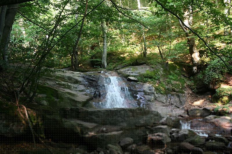 Bulgaria 2008 136
